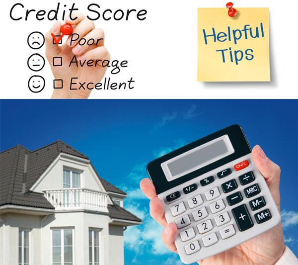 Free Credit Report Scores Can Be Misleading